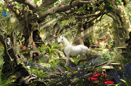 In the heart of the forest In the heart of the forest